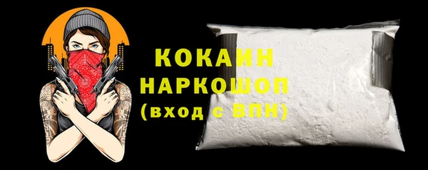 стафф Ельня
