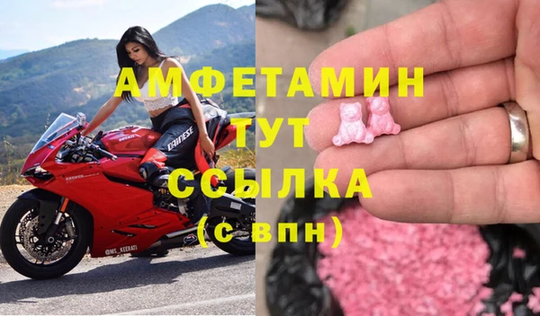 стафф Ельня