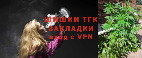 стафф Ельня