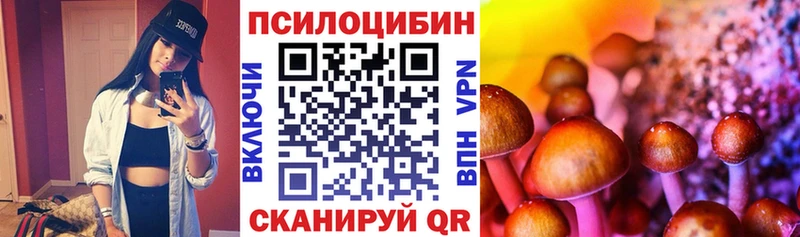 Купить закладки  Кузнецк  Галлюциногенные грибы GOLDEN TEACHER 