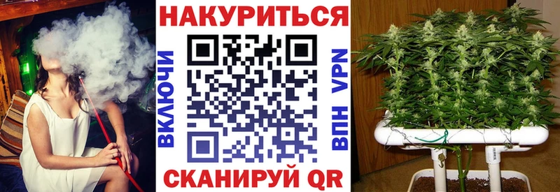 Купить  Кузнецк  Каннабис план 